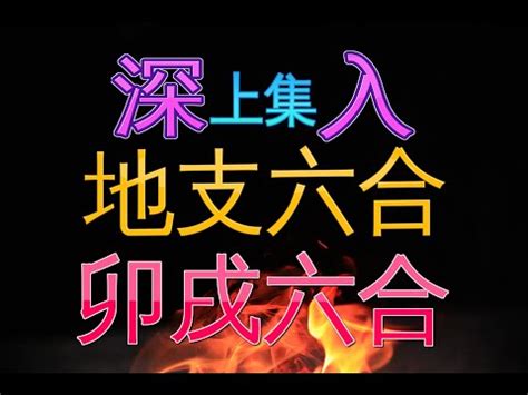 八字 六合|【八字六合】八字命理六合揭秘：詳解地支相合的吉凶。